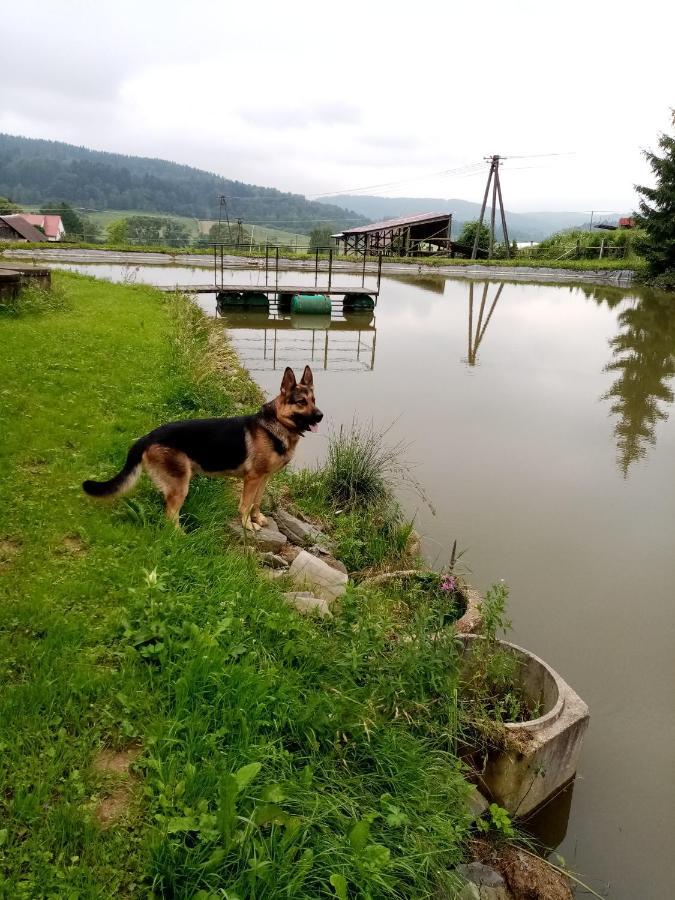 Hotel Przy Winogronie Uherce Mineralne Exterior foto